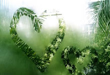 九游体育中国官网-亚运会女足决赛：韩国遗憾失利，赛场背后的精彩与魅力