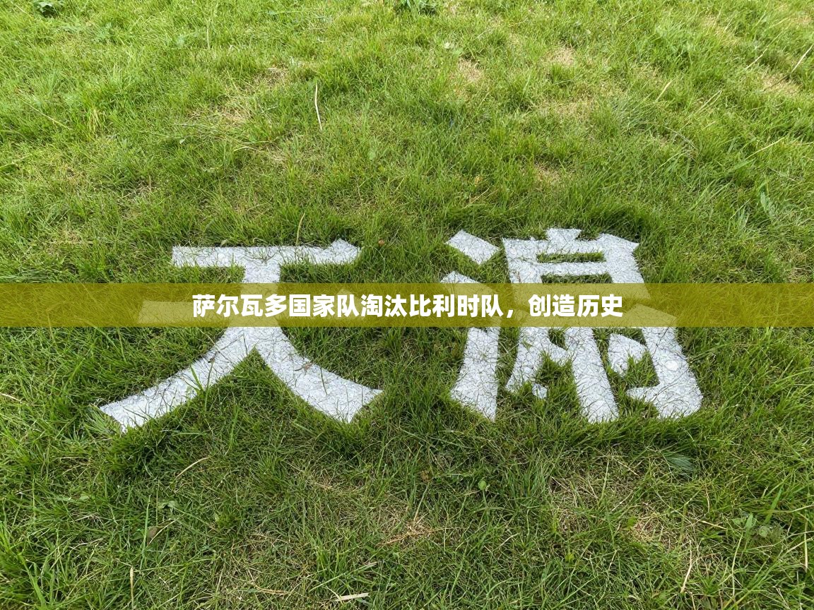 萨尔瓦多国家队淘汰比利时队，创造历史  第2张